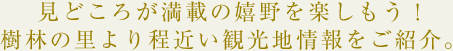 見どころが満載の嬉野を楽しもう！樹林の里より程近い観光地情報をご紹介。